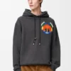 Bluza z kapturem z bawełny Bluza z kapturem z bawełny