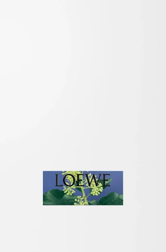 Duże mydło w kostce Bluszcz Duże mydło w kostce Bluszcz