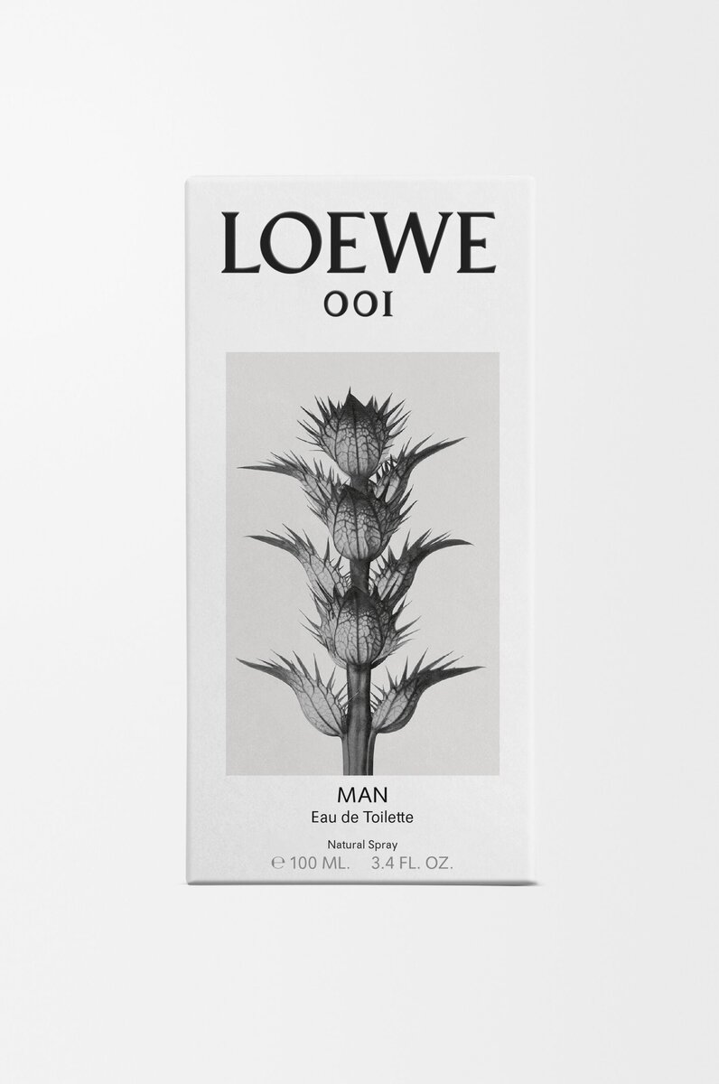Loewe 001 Man Woda toaletowa 100 ml Loewe 001 Man Woda toaletowa 100 ml