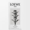 Loewe 001 Man Woda toaletowa 50 ml Loewe 001 Man Woda toaletowa 50 ml