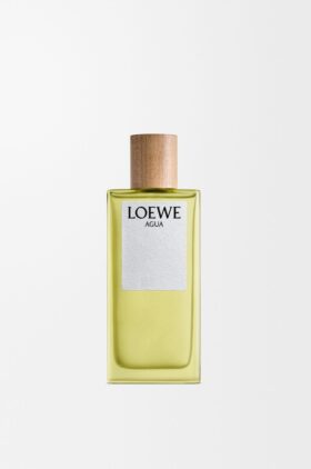 Loewe Agua EDT 100 ml