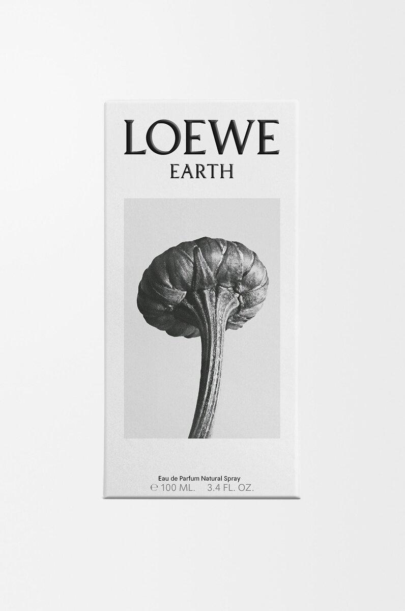 Loewe Earth EDP 100 ml Loewe Earth EDP 100 ml