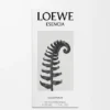 LOEWE Esencia Eau de Parfum 50 ml LOEWE Esencia Eau de Parfum 50 ml