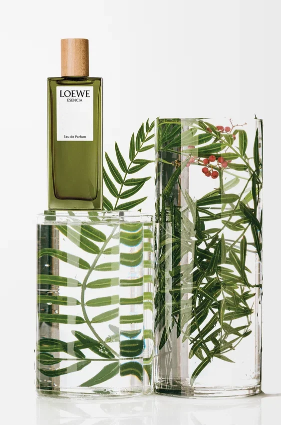 LOEWE Esencia Eau de Parfum 50 ml LOEWE Esencia Eau de Parfum 50 ml