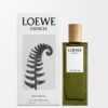 Loewe Esencia EDP 50 ml Loewe Esencia EDP 50 ml
