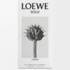 Loewe Solo Cedro 100 ml Loewe Solo Cedro 100 ml