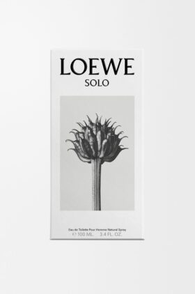 Loewe Solo EDT 100 ml