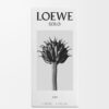 Loewe Solo Elixir 50 ml Loewe Solo Elixir 50 ml