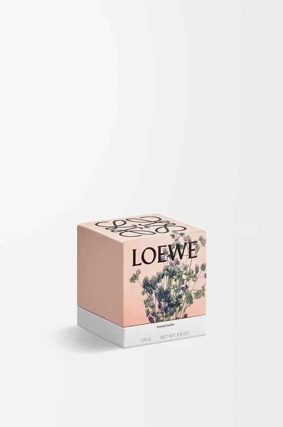 Mała świeca o zapachu Oregano Mała świeca o zapachu Oregano