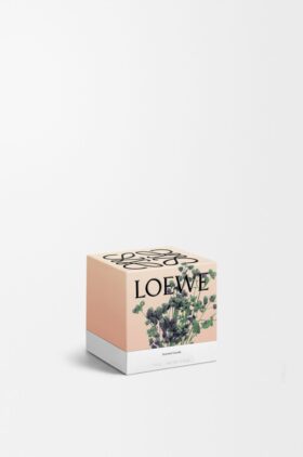 Mała świeczka o zapachu Oregano Mała świeczka o zapachu Oregano
