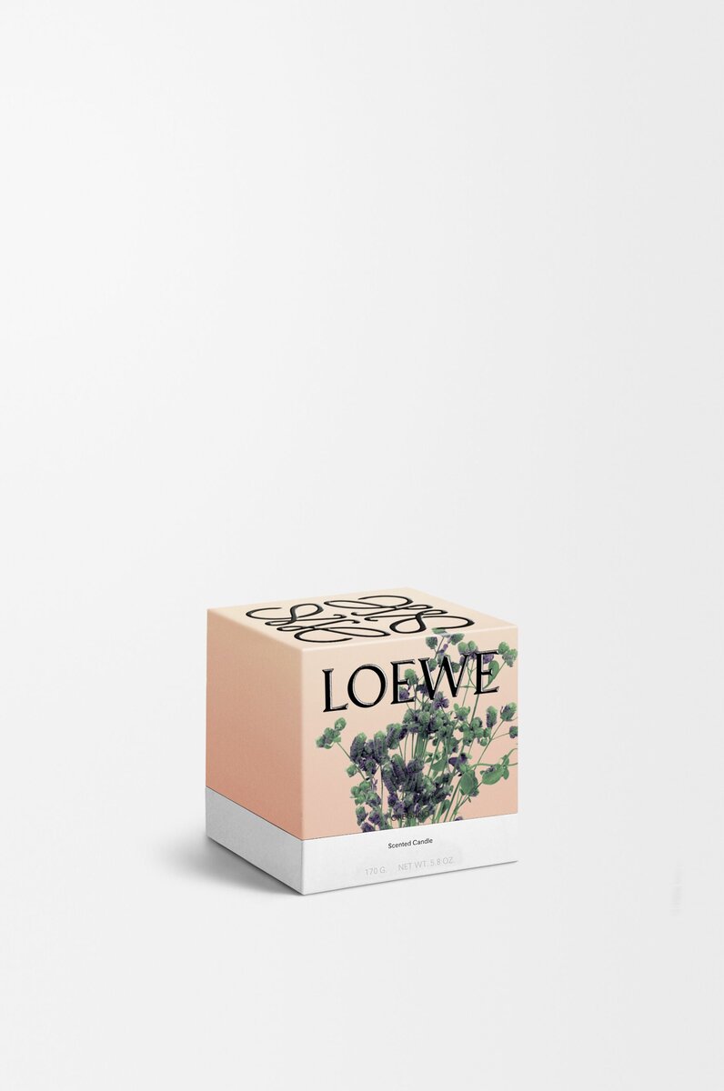 Mała świeczka o zapachu Oregano Mała świeczka o zapachu Oregano