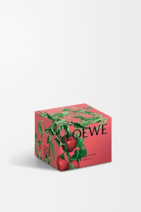 Peeling do ciała o zapachu liści pomidora