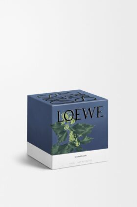 Świeca Bluszcz Medium