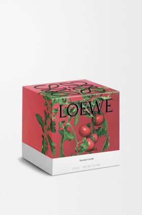 Świeca „Duże liście pomidora”