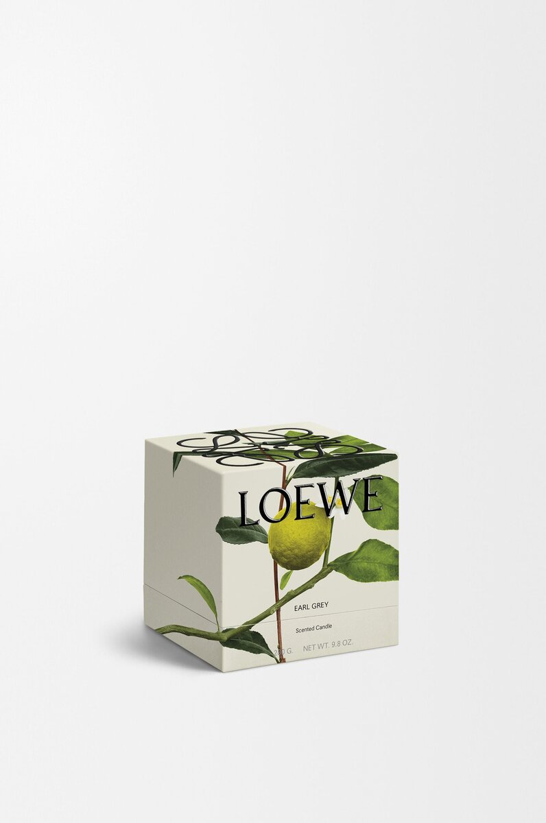 Świeca Midi Earl Grey Świeca Midi Earl Grey