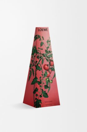 Świecznik z wosku „Liście pomidora”
