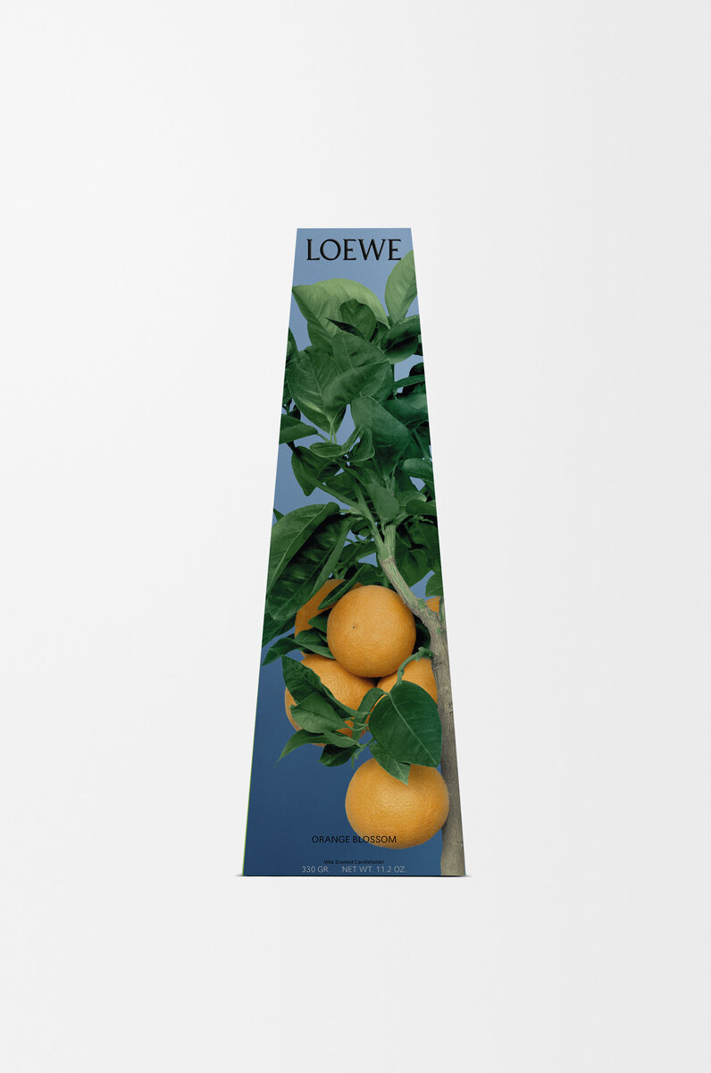Świecznik z wosku o zapachu kwiatu pomarańczy Świecznik z wosku o zapachu kwiatu pomarańczy