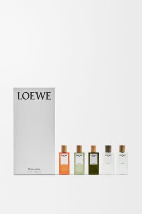 Zestaw miniatur loewe Zestaw miniatur loewe