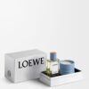 Zestaw upominkowy loewe Perfumes Zapachy do domu Szyszki cyprysu Zestaw upominkowy loewe Perfumes Zapachy do domu Szyszki cyprysu